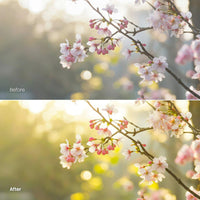 Before and after Spring Vibe LUT Pack effect