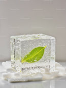 Fresh green leaf embedded in a clear ice cube