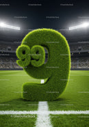 Green numbers shaped from grass on soccer field