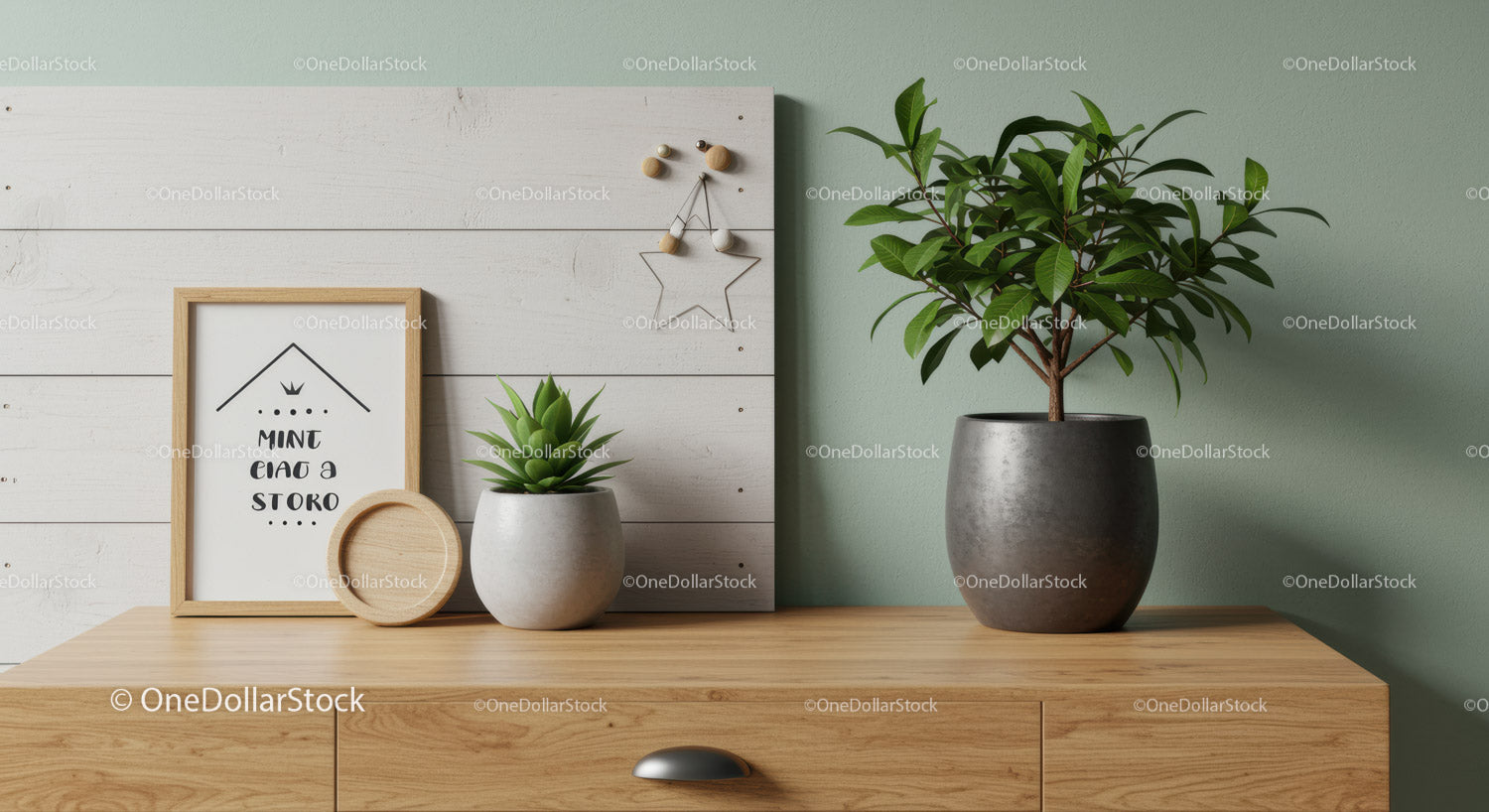 Green Foliage Potted Plant and Succulent on Wooden Sideboard