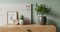 Green Foliage Potted Plant and Succulent on Wooden Sideboard