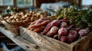 Fresh Organic Carrots and Root Vegetables at Local Market Stall