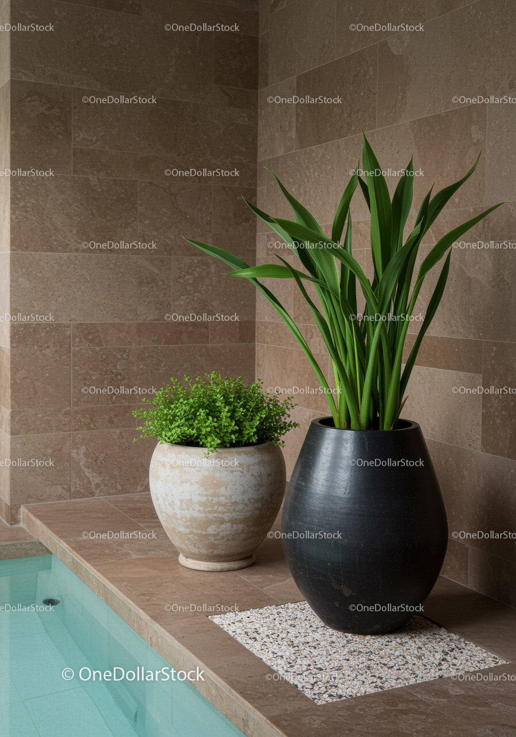 Elegant Indoor Plant Decor with Green Foliage in Modern Ceramic Pots