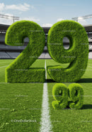 Large 29 percent made of grass on sports field