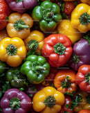 Vibrant Assortment of Fresh Bell Peppers in Bright Colors