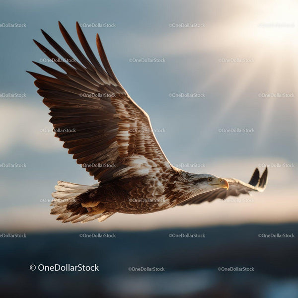 Majestic Bald Eagle in Flight Over Ocean at Dawn