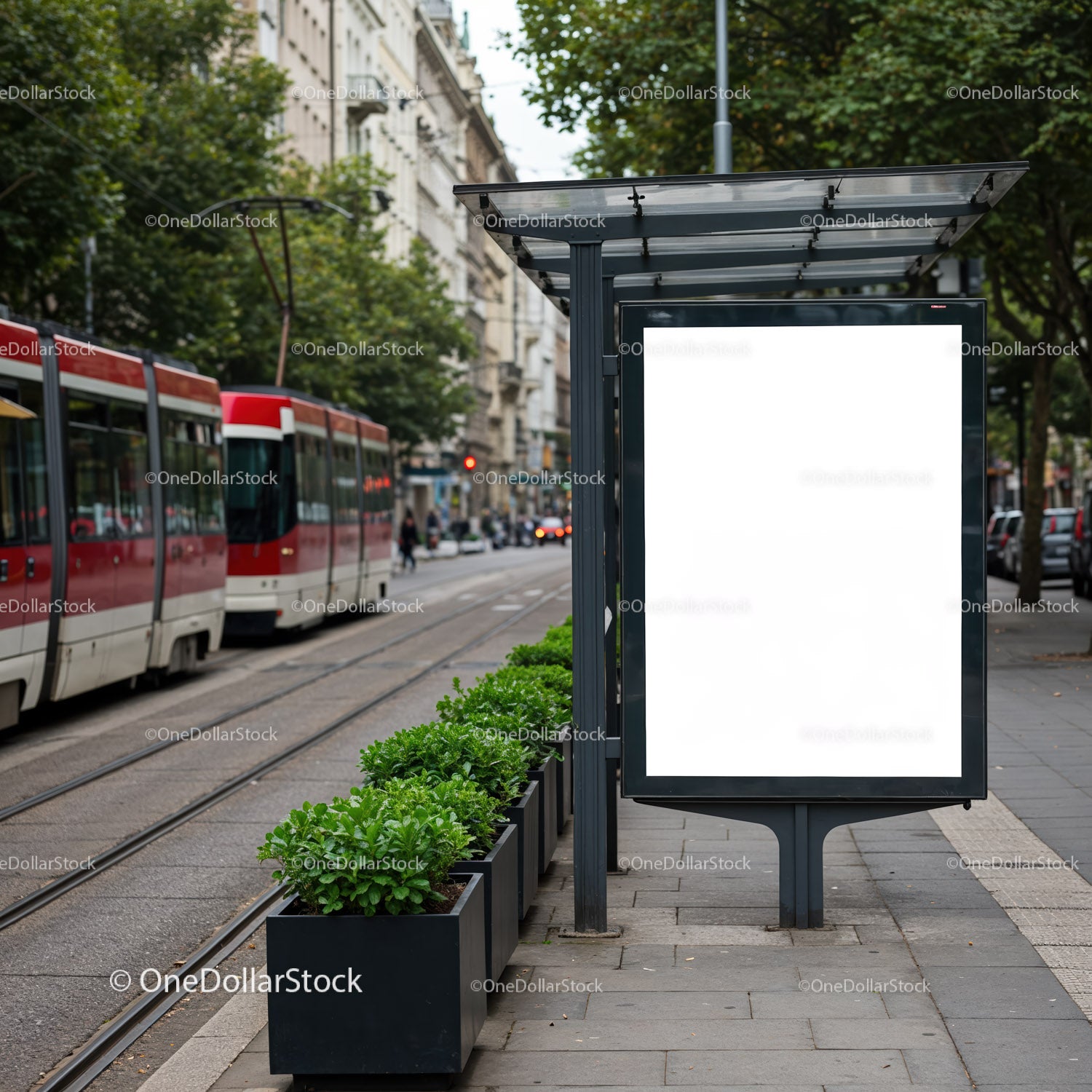 Blank advertising board at urban tram stop with greenery