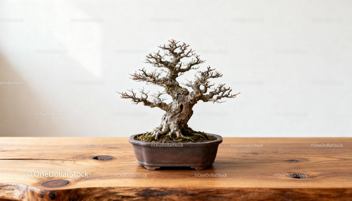 Leafless Bonsai Tree on Rustic Wooden Surface