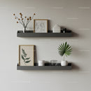 Minimalist Wall Shelves with Green Plant and Artistic Decorations