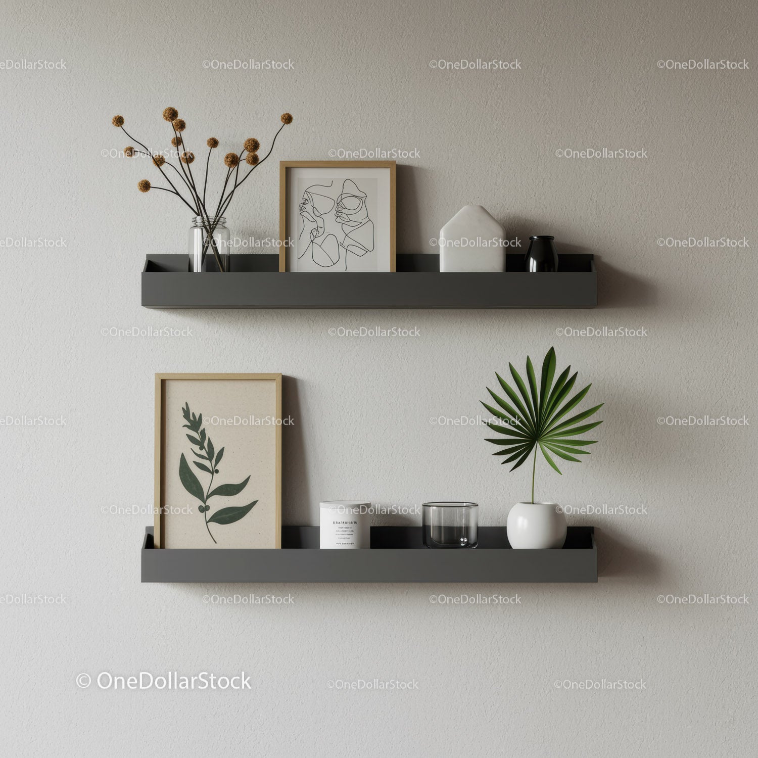 Minimalist Wall Shelves with Green Plant and Artistic Decorations