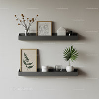 Minimalist Wall Shelves with Green Plant and Artistic Decorations