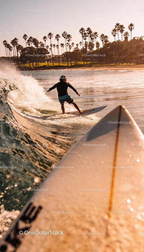 Surfer riding gentle waves near palm tree coast