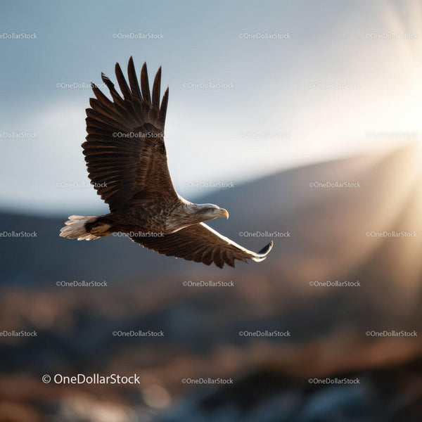 Majestic Bald Eagle in Flight Over Mountain Landscape