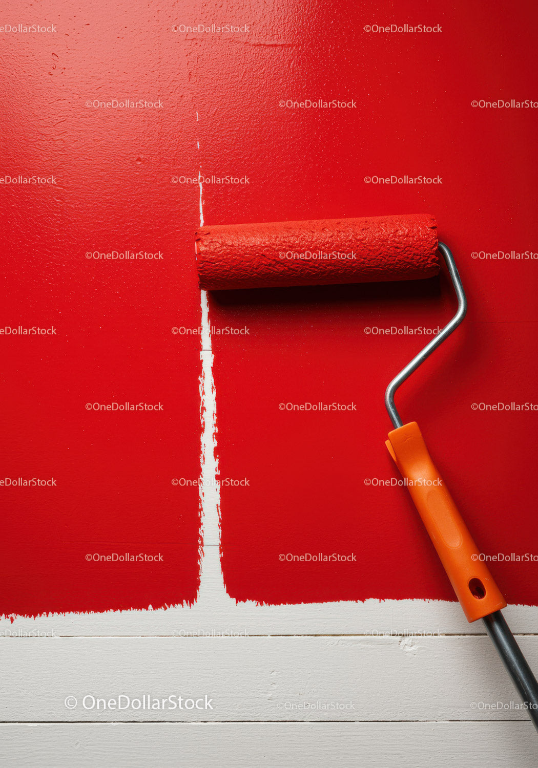 Red Wall Painting with Roller in Home Interior Renovation