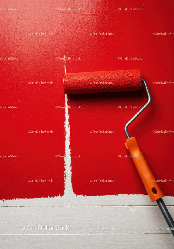 Red Wall Painting with Roller in Home Interior Renovation