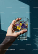 Hand Holding Glass of Water with Floating Pansy Flowers