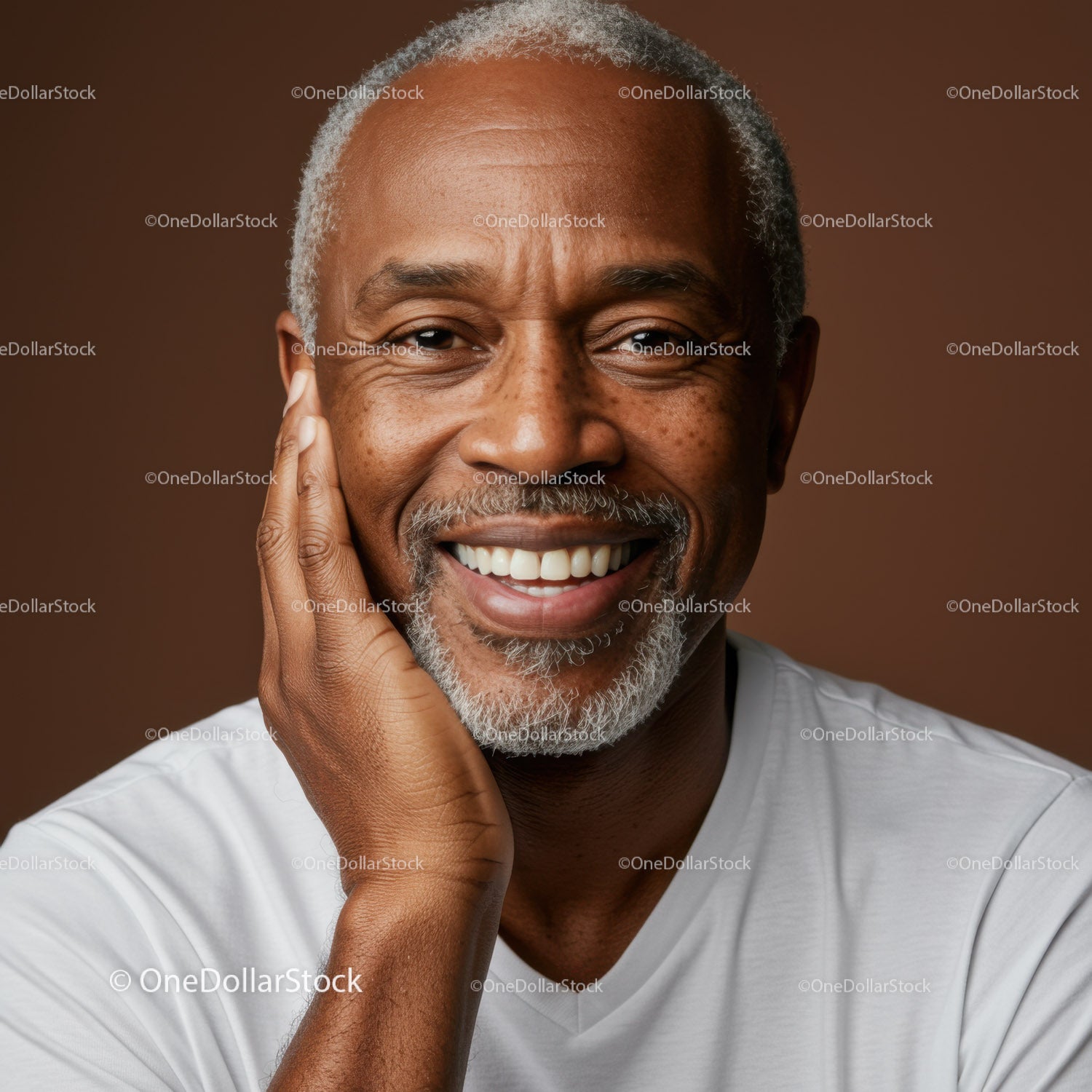 Joyful Elderly Man with Gray Beard Smiling Brightly for Portrait