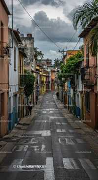 Colorful Neighborhood with Winding Street and Vibrant Houses