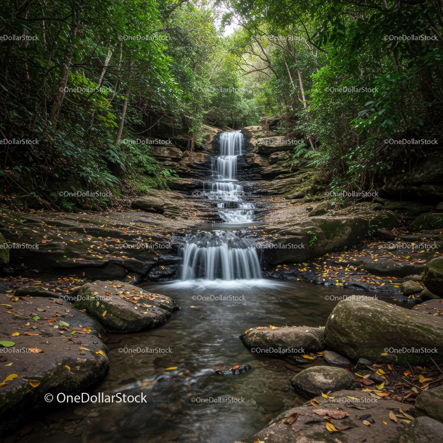 Tranquil Forest Waterfall with Lush Greenery and Rocky Stream
