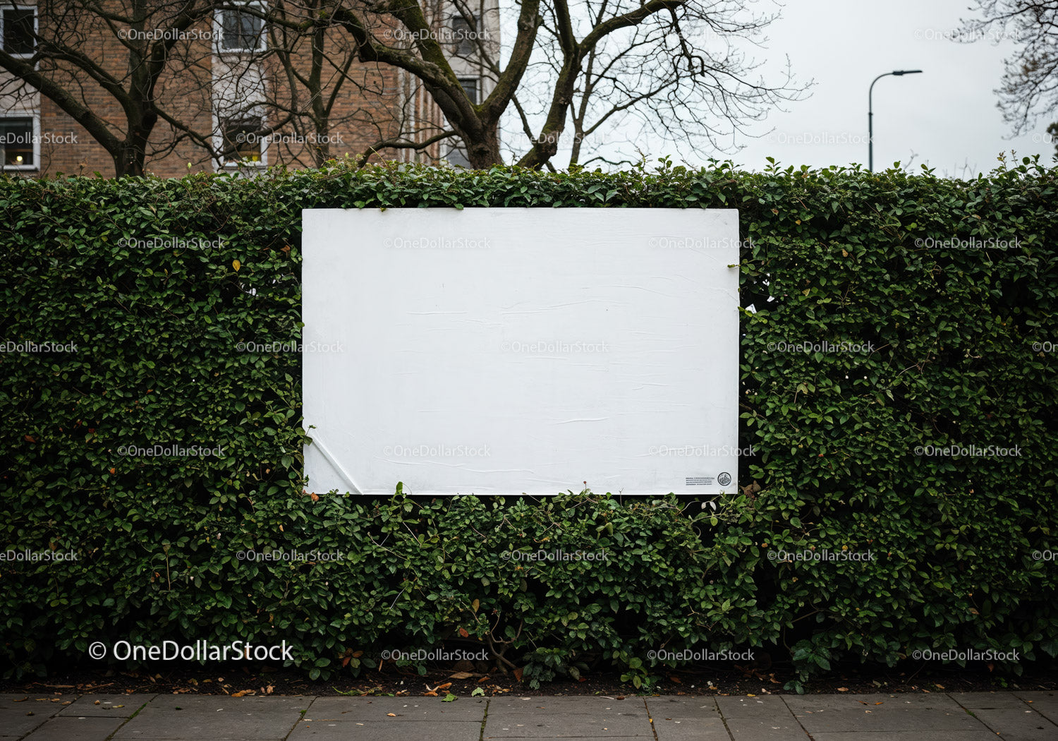 Blank white billboard on green hedge in urban setting