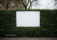 Blank white billboard on green hedge in urban setting
