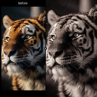 Before and after Mono Warm Lightroom preset edit