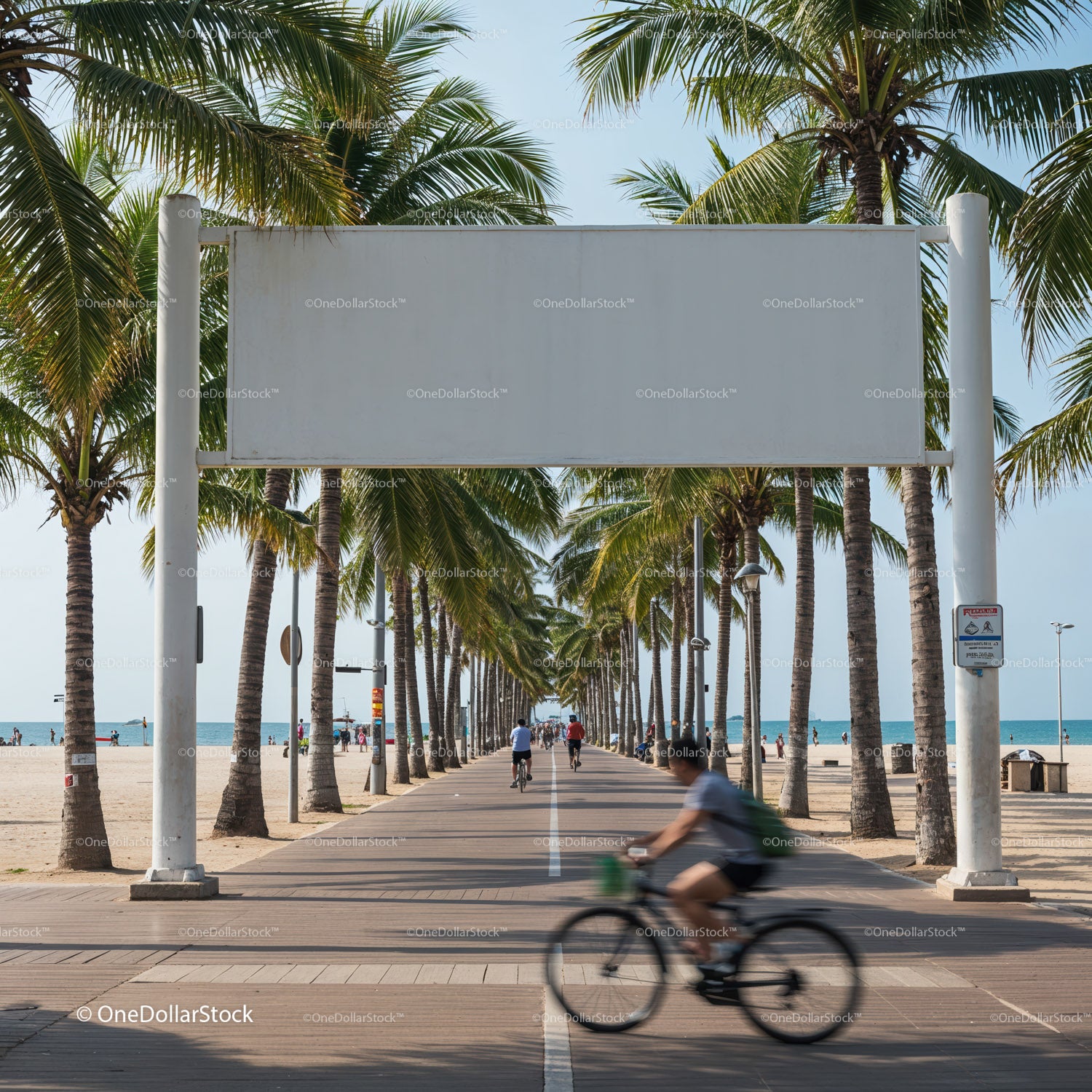 Cyclists riding along palm-lined coastal promenade