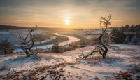 Winter river landscape with twisted trees at sunset