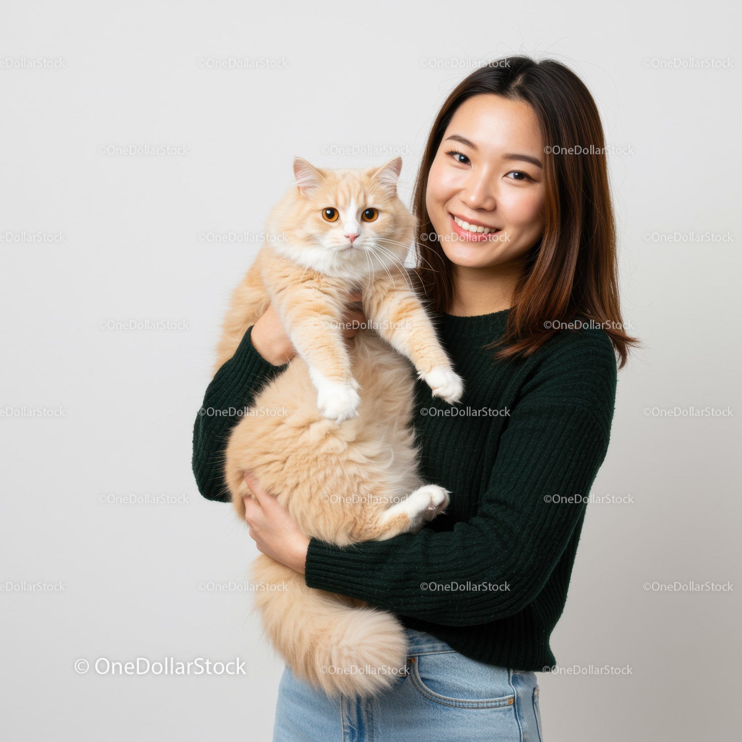 Young woman holding fluffy cream cat with gentle smile