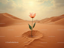 Delicate flower blooming in vast desert sands