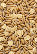 Close-up of oat grains and rolled flakes background