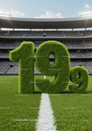 Grass Covered 19 Percent Sign on Football Field Line