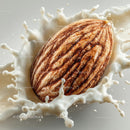 Close-up of Almond Splashing into Milk