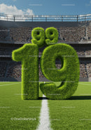 Number 19 made of grass on soccer field