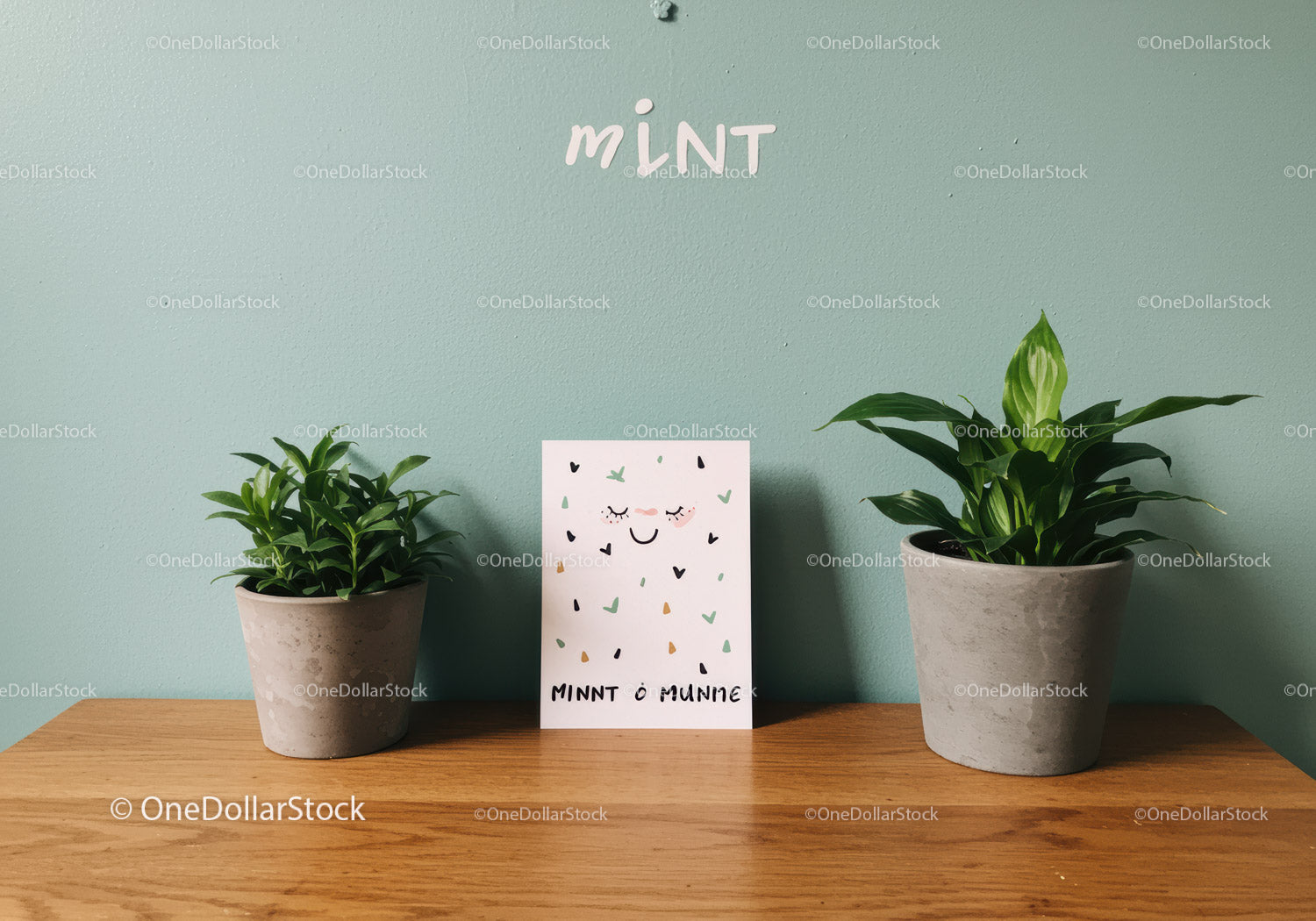 Green Foliage Potted Plants and Decorative Greeting Card Setup