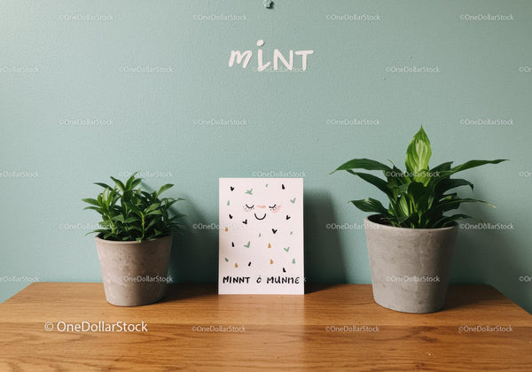 Green Foliage Potted Plants and Decorative Greeting Card Setup