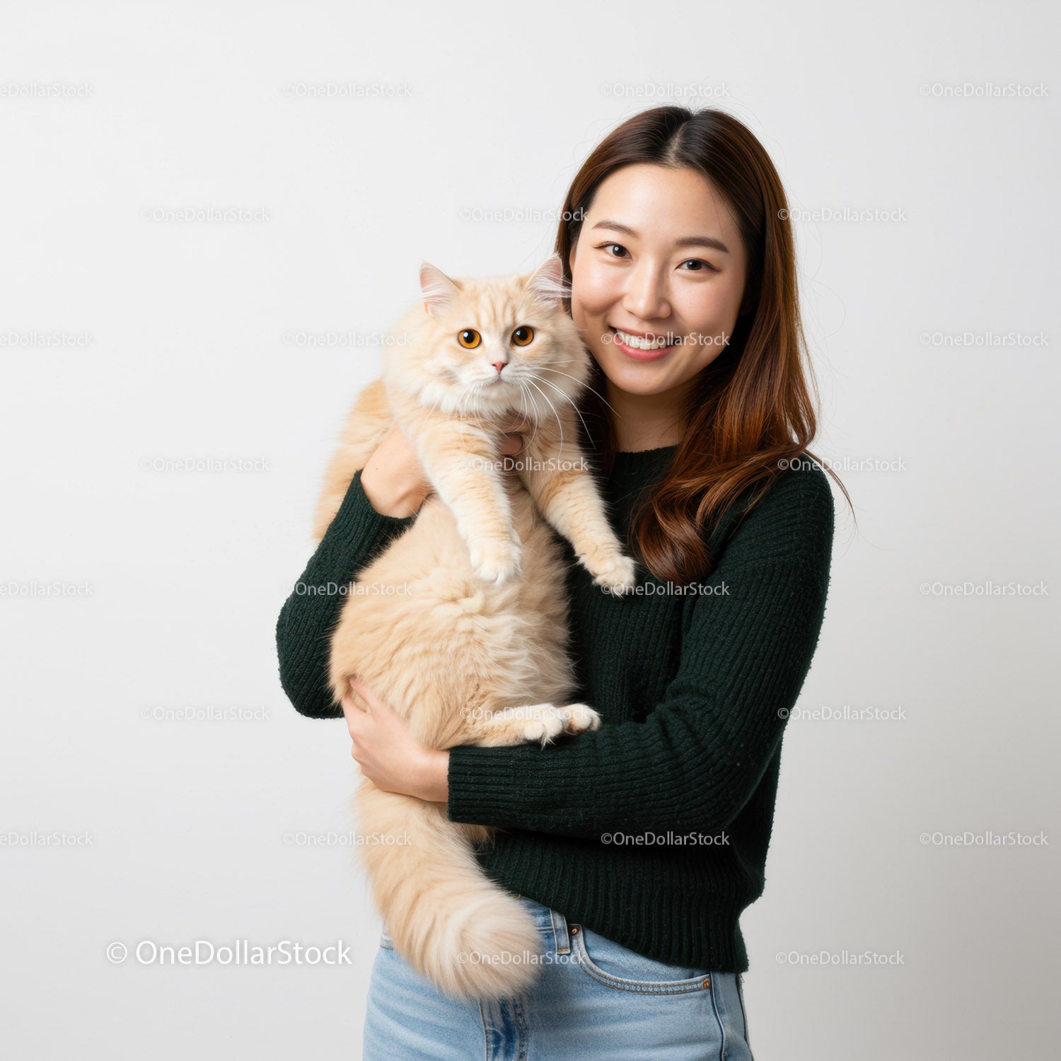 Smiling woman holding fluffy cream cat indoors