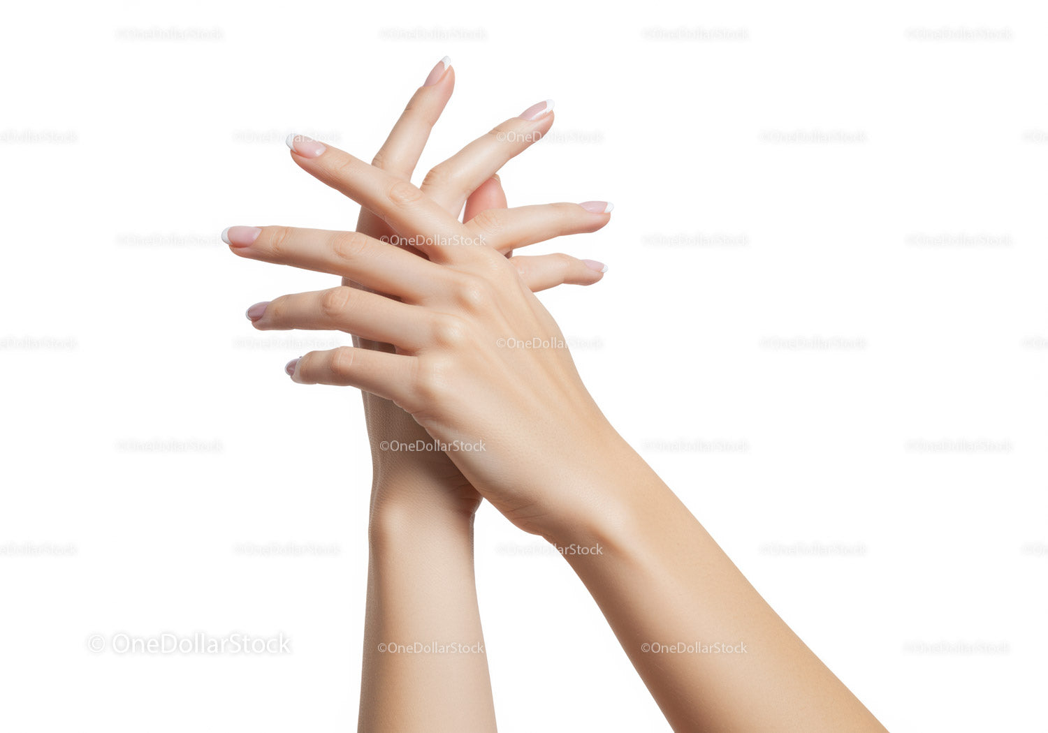 Elegant female hands intertwined with french manicure