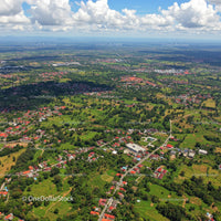 Green Landscape with Trees and Suburban Homes Under Blue Sky
