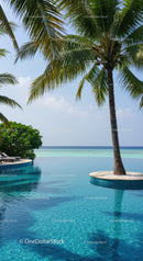 Tropical Palm Tree Overlooking Infinity Pool with Beach and Ocean View
