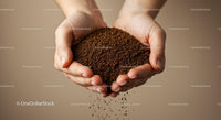 Hands gently holding loose coffee granules falling