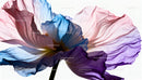 Delicate translucent petals of colorful flower closeup