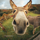 Close-Up of a Curious Donkey's Face in a Countryside Landscape