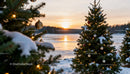 Decorated Christmas Trees with Snow by Frozen Lake Sunset