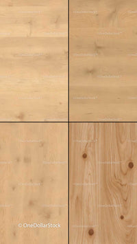 Maple Wood 16 PNG Files digital asset preview