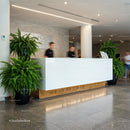 Modern hotel lobby with sleek white reception desk