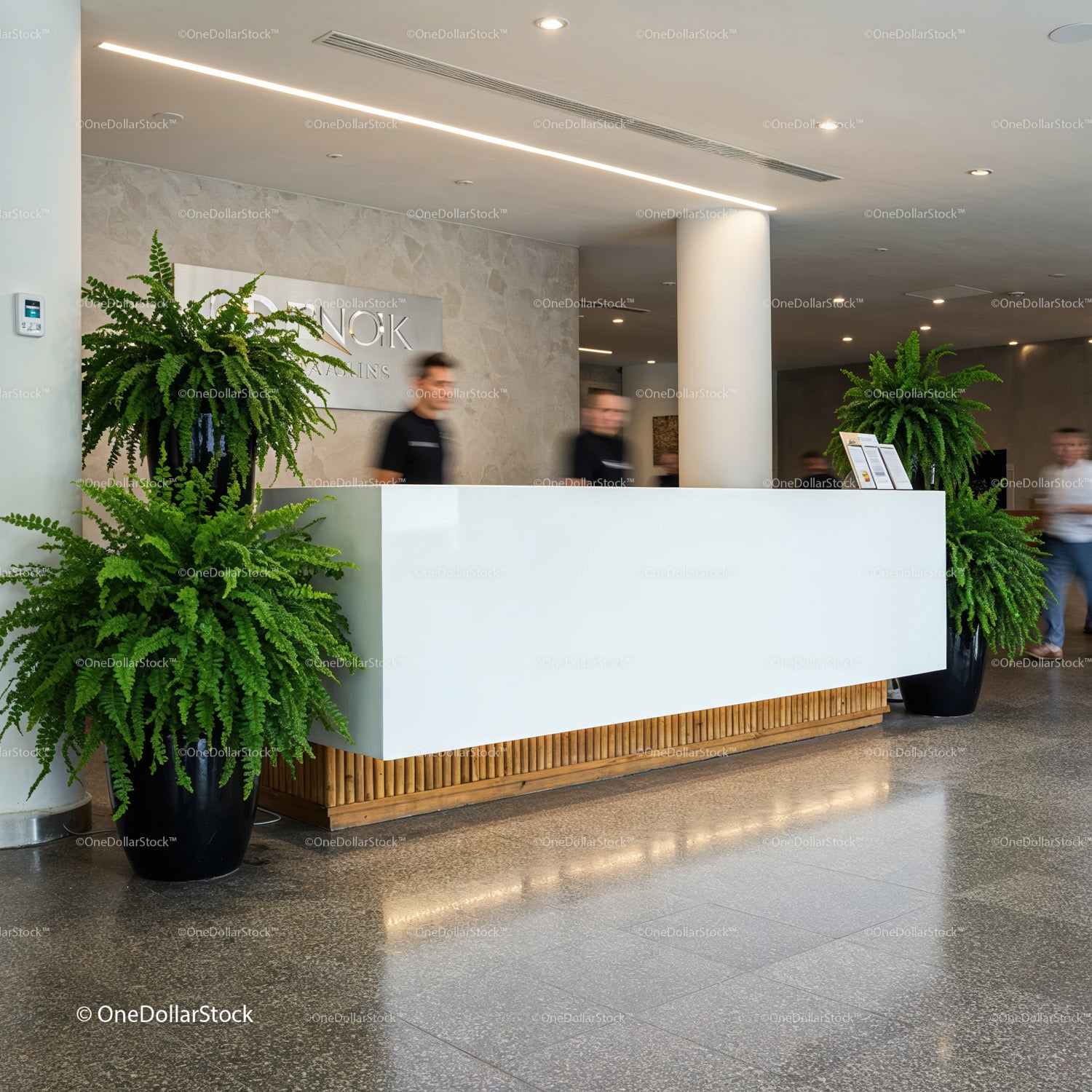 Modern hotel lobby with sleek white reception desk