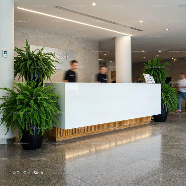 Modern hotel lobby with sleek white reception desk JPG Mockup Image
