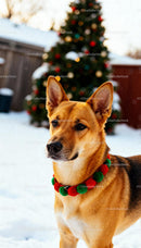 Alert dog with festive collar in snowy yard
