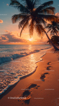 Sunset Over Tropical Beach with Palm Trees and Clear Ocean Water